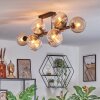 Koyoto Taklampa, kullampa Amber, Klart, Rökfärger, 10-ljuskällor