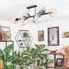 Koyoto Taklampa, kullampa Amber, Klart, Rökfärger, 10-ljuskällor