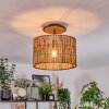Cando Taklampa Naturfärger, Svart, 1-ljuskällor