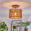 Cando Taklampa Naturfärger, Svart, 1-ljuskällor