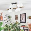 Gastor Taklampa, kullampa Guld, Svart, 8-ljuskällor