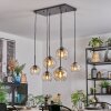 Koyoto Pendellampa, kullampa, Pendelbelysning Amber, Klart, 6-ljuskällor