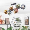 Koyoto Taklampa, kullampa Blå, Guld, Grön, Klart, Kopparfärg, 10-ljuskällor