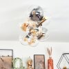 Gastor Taklampa, kullampa Guld, Svart, 8-ljuskällor