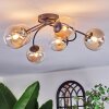 Chehalis Taklampa, kullampa 58 cm Amber, Klart, 6-ljuskällor