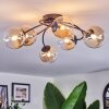 Chehalis Taklampa, kullampa 58 cm Amber, Klart, 6-ljuskällor