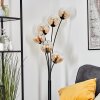 Koyoto Golvlampa 40 cm Amber, Klart, 6-ljuskällor