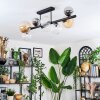 Chehalis Taklampa, kullampa Amber, Klart, Rökfärger, 8-ljuskällor