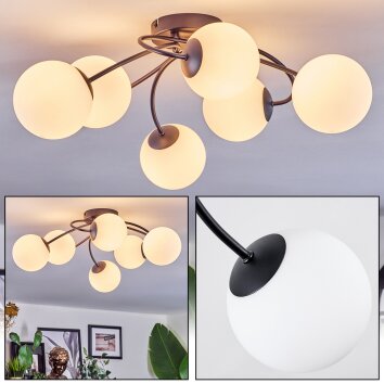 Chehalis Taklampa, kullampa Vit, 6-ljuskällor