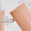 Javel Vägglampa, Väggspotlight Rosa, Vit, 1-ljuskällor