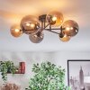 Chehalis Taklampa, kullampa 20 cm Amber, Rökfärger, 6-ljuskällor