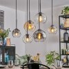 Koyoto Pendellampa, kullampa, Pendelbelysning Amber, Klart, Rökfärger, 6-ljuskällor