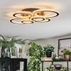 Ronak Taklampa LED Svart, 1-ljuskällor, Fjärrkontroll