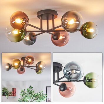 Chehalis Taklampa, kullampa Blå, Grön, Klart, Kopparfärg, 6-ljuskällor