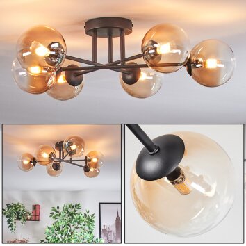 Chehalis Taklampa, kullampa 55 cm Amber, Klart, 6-ljuskällor