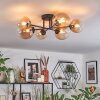 Chehalis Taklampa, kullampa 60 cm Amber, Klart, 6-ljuskällor