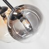 Chehalis Taklampa, kullampa 60 cm Amber, Klart, Rökfärger, 6-ljuskällor