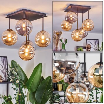 Chehalis Taklampa, kullampa Amber, Rökfärger, 5-ljuskällor