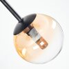 Chehalis Taklampa, kullampa Amber, Klart, Rökfärger, 5-ljuskällor