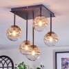 Chehalis Taklampa, kullampa Amber, Klart, 5-ljuskällor