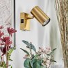 Javel Vägglampa, Väggspotlight Guld, 1-ljuskällor