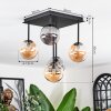 Chehalis Taklampa, kullampa Amber, Rökfärger, 5-ljuskällor