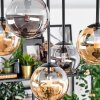 Chehalis Taklampa, kullampa Amber, Rökfärger, 5-ljuskällor