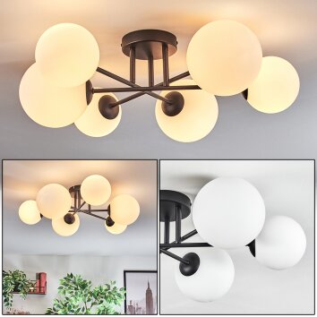 Chehalis Taklampa, kullampa Vit, 6-ljuskällor