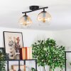 Koyoto Taklampa, kullampa Amber, Klart, 2-ljuskällor