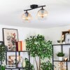 Koyoto Taklampa, kullampa Amber, Klart, 2-ljuskällor
