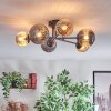 Chehalis Taklampa, kullampa 55 cm Amber, Rökfärger, 6-ljuskällor