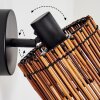 Cando Vägglampa, Väggspotlight Svart, 1-ljuskällor