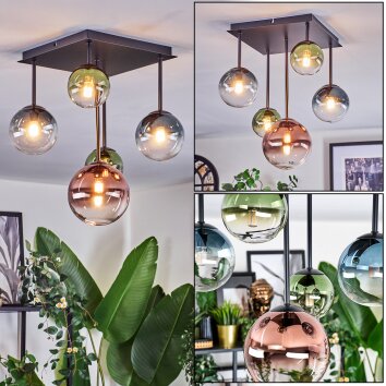 Chehalis Taklampa, kullampa Blå, Grön, Klart, Kopparfärg, 5-ljuskällor