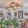Ripoll Taklampa, kullampa Amber, Rökfärger, 10-ljuskällor