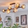 Ripoll Taklampa, kullampa Amber, Klart, Rökfärger, 10-ljuskällor