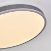 Salmi Taklampa, Panel LED Grått, Silver, 1-ljuskällor, Fjärrkontroll