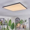 Barullu Taklampa, Panel LED Svart, Vit, 1-ljuskällor