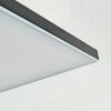 Barullu Taklampa, Panel LED Svart, Vit, 1-ljuskällor
