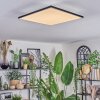 Barullu Taklampa, Panel LED Svart, Vit, 1-ljuskällor