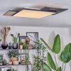 Barullu Taklampa, Panel LED träoptik, Svart, Vit, 1-ljuskällor