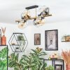 Koyoto Taklampa, kullampa Guld, Svart, 8-ljuskällor