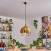 Ripoll Pendellampa, kullampa, Pendelbelysning Guld, 1-ljuskällor