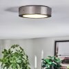 Tavin Taklampa LED Nickel matt, 1-ljuskällor