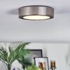 Tavin Taklampa LED Nickel matt, 1-ljuskällor