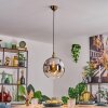 Ripoll Pendellampa, kullampa, Pendelbelysning Guld, 1-ljuskällor