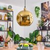 Ripoll Pendellampa, kullampa, Pendelbelysning Guld, 1-ljuskällor