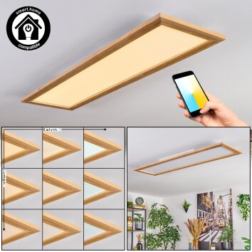 Belan Taklampa, Panel LED Naturfärger, Vit, 1-ljuskällor