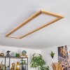 Belan Taklampa, Panel LED Naturfärger, Vit, 1-ljuskällor, Fjärrkontroll