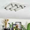 Zamar Taklampa LED Krom, 3-ljuskällor