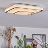 Borin Taklampa LED Grått, Vit, 1-ljuskällor